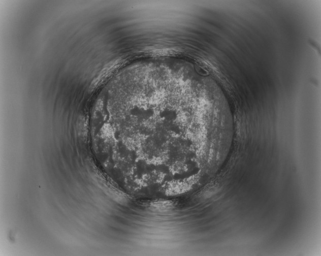 X0000102400357200808221853