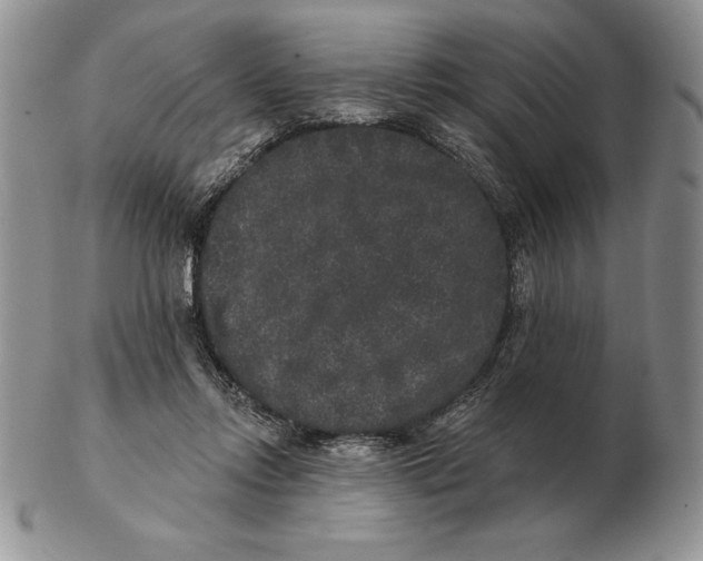 X0000102400358200808221853