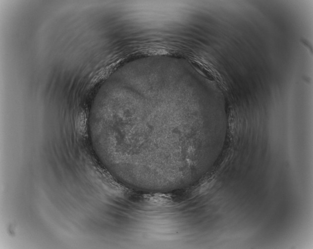 X0000102400359200808221853