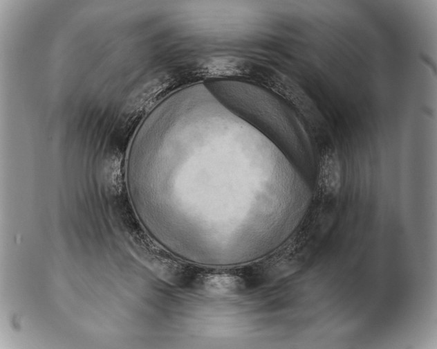 X0000102400360200808221853