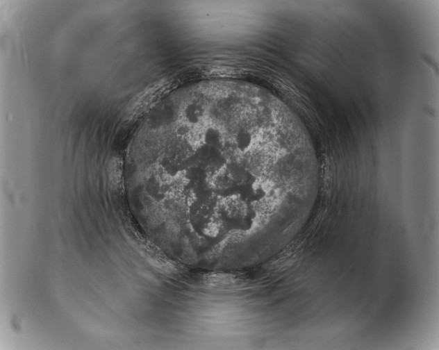 X0000102400361200808221853