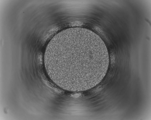 X0000102400362200808221853