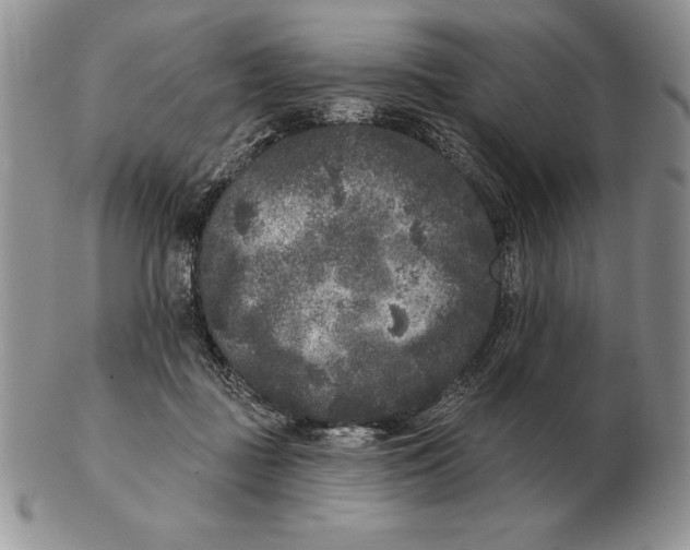 X0000102400363200808221853
