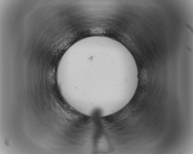 X0000102400364200808221853
