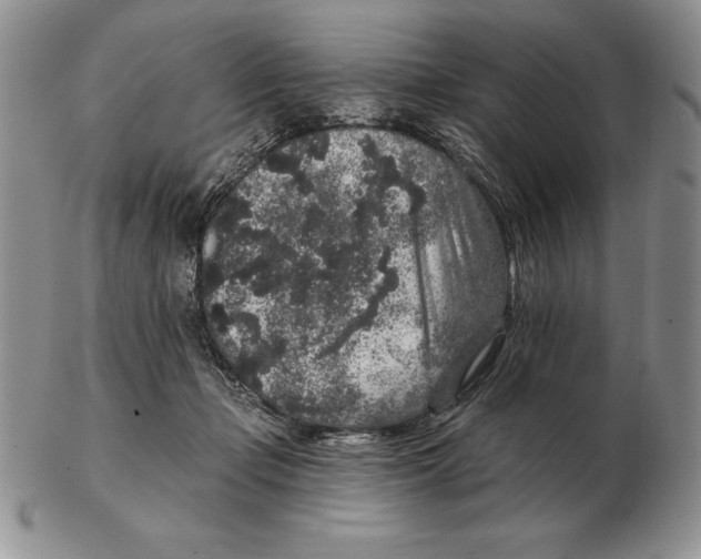 X0000102400365200808221853