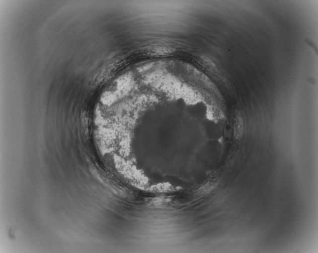 X0000102400366200808221853
