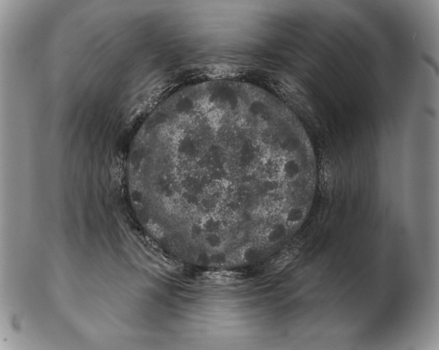 X0000102400367200808221853