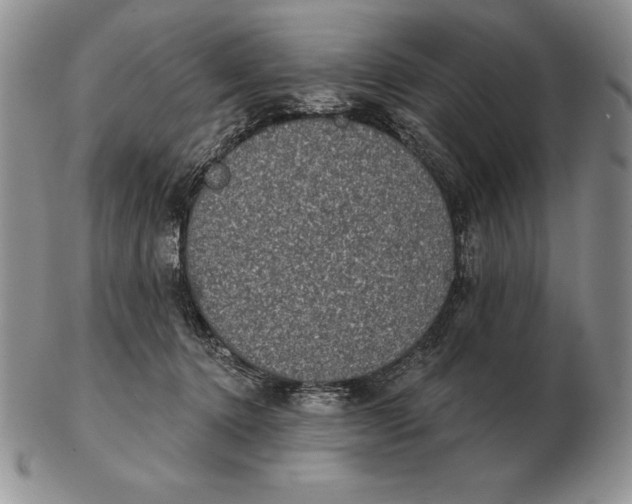 X0000102400368200808221853