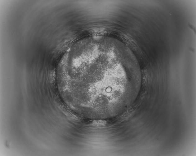 X0000102400369200808221853