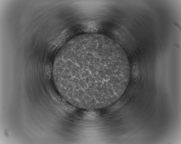 X0000102400370200808221853