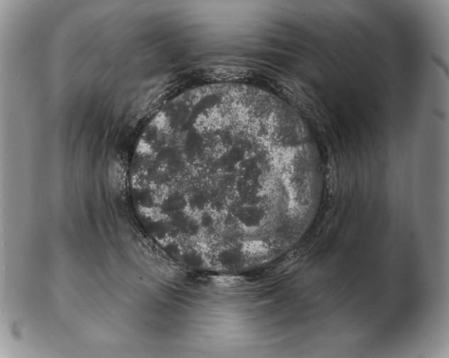 X0000102400371200808221853
