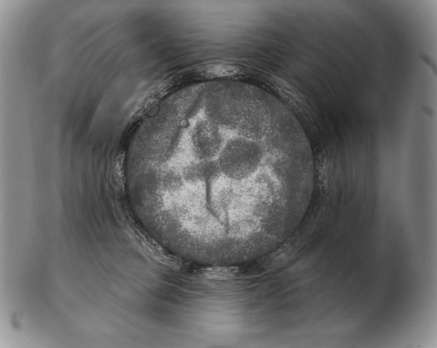 X0000102400373200808221853