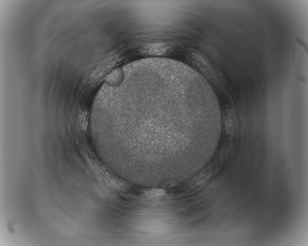 X0000102400374200808221853
