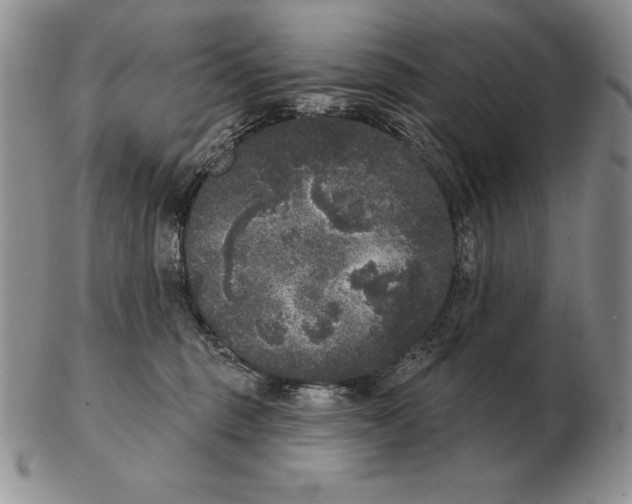 X0000102400375200808221853