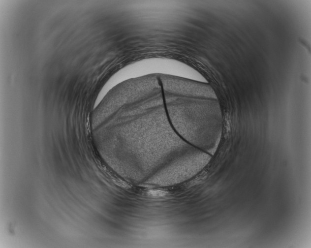 X0000102400376200808221853