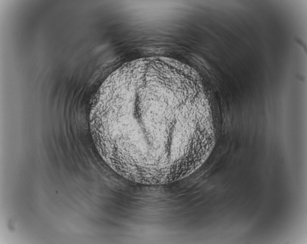 X0000102400377200808221853