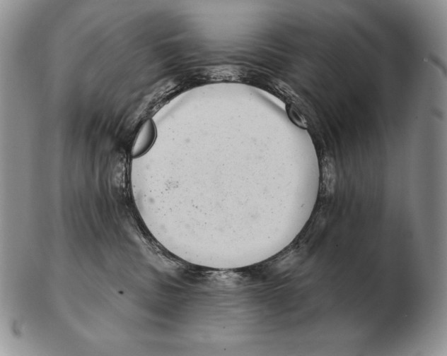 X0000102400379200808221853