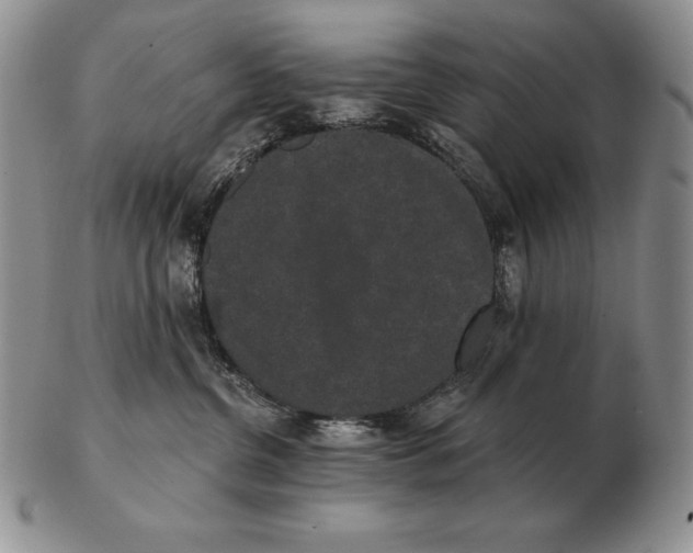 X0000102400380200808221853