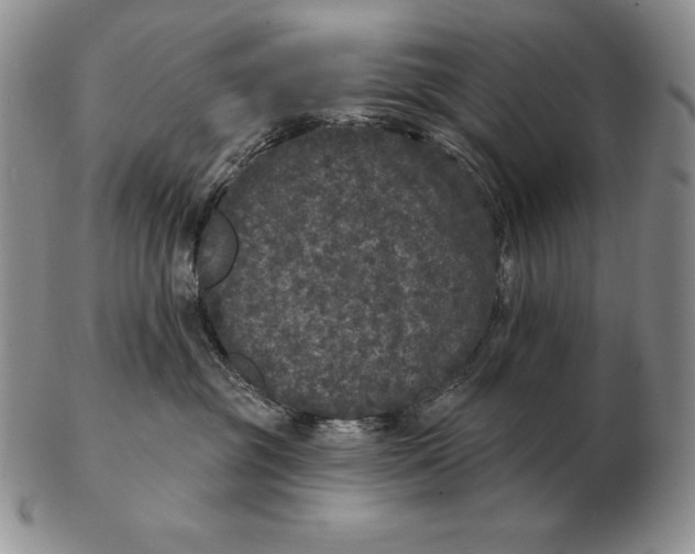 X0000102400381200808221853