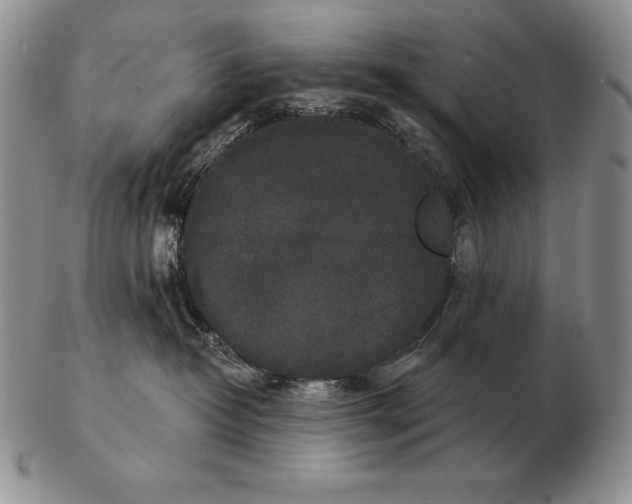 X0000102400382200808221853