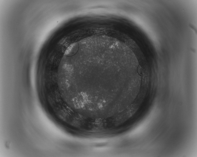 X0000102400383200808221853