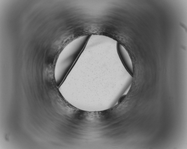 X0000102400384200808221853