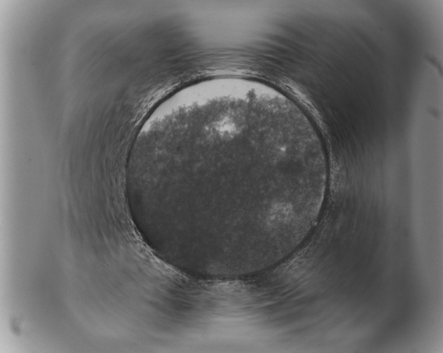 X0000102400385200808221852
