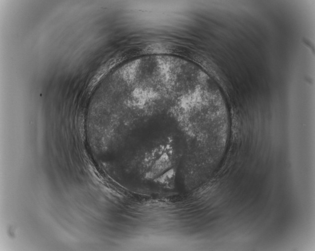 X0000102400386200808221852