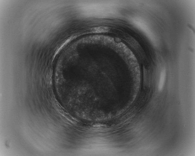 X0000102400387200808221852