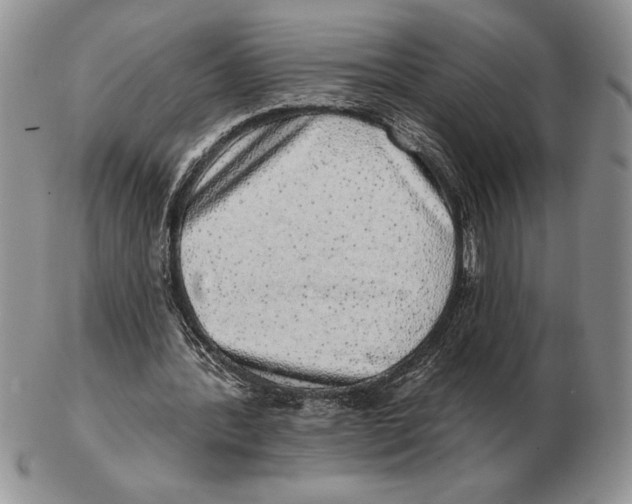 X0000102400388200808221852