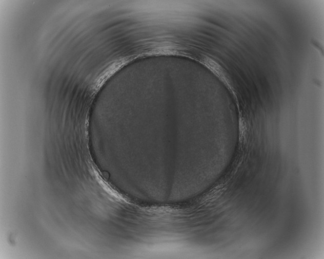 X0000102400389200808221852