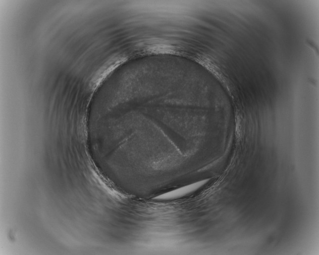 X0000102400390200808221852