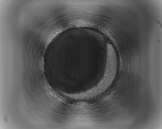 X0000102400391200808221852
