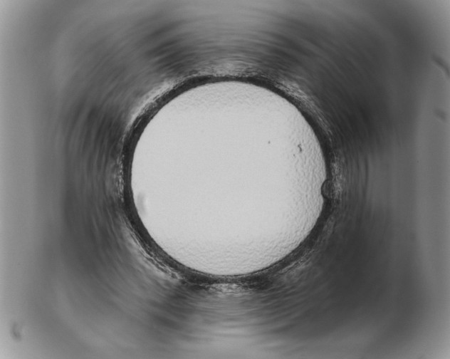 X0000102400392200808221852