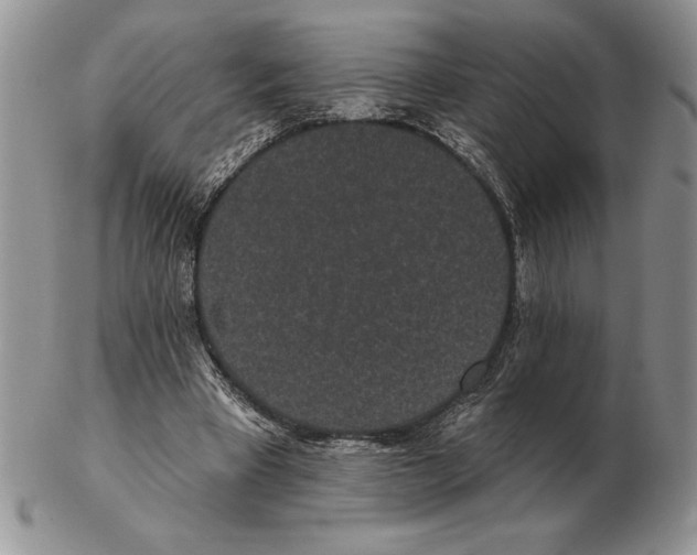 X0000102400393200808221852
