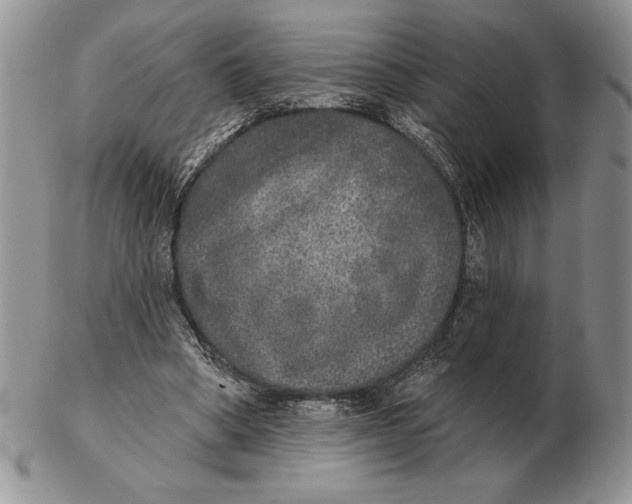 X0000102400394200808221852