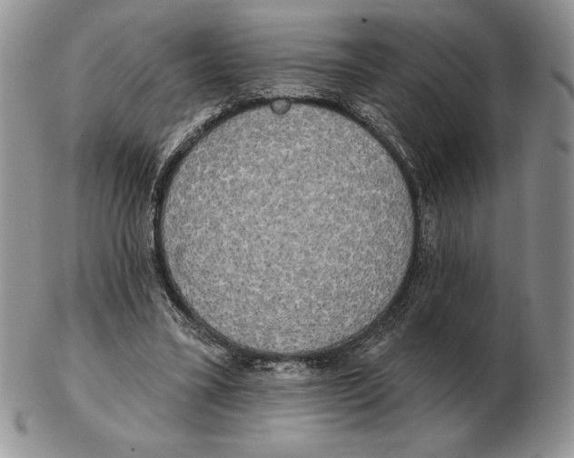 X0000102400395200808221852