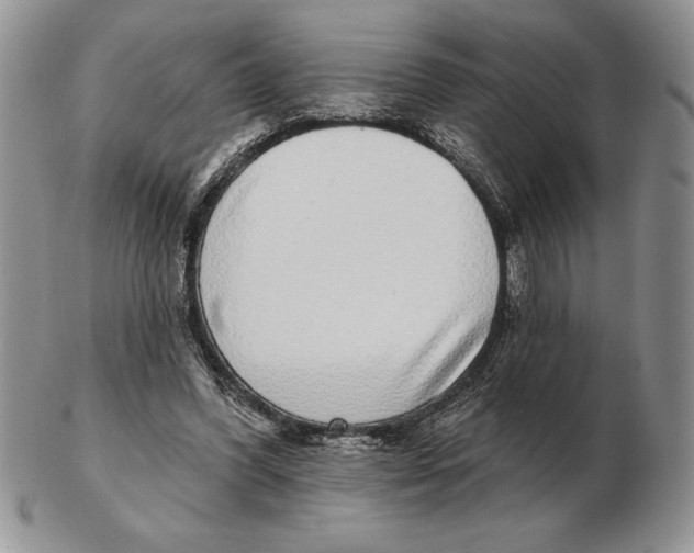 X0000102400396200808221852