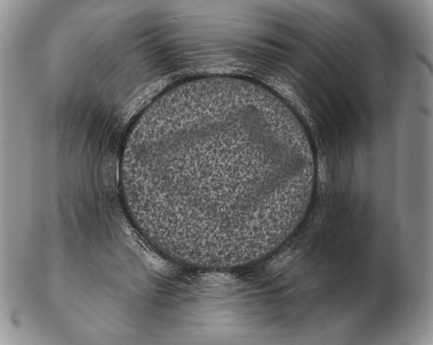 X0000102400397200808221852