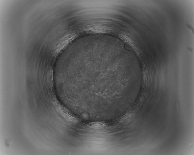 X0000102400398200808221852