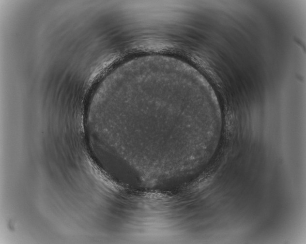 X0000102400399200808221852