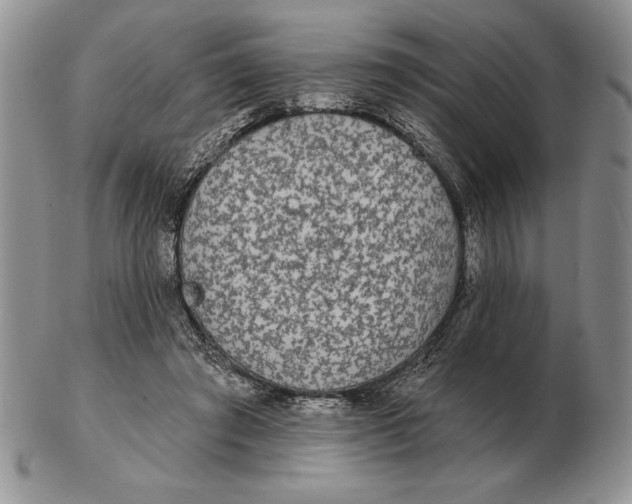 X0000102400401200808221852