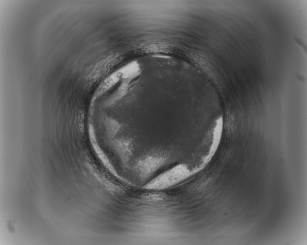 X0000102400402200808221852