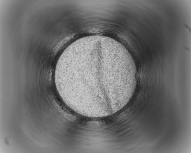 X0000102400404200808221852