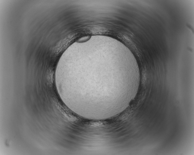 X0000102400405200808221852
