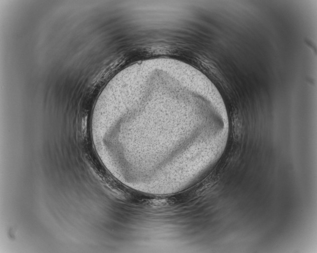 X0000102400406200808221852