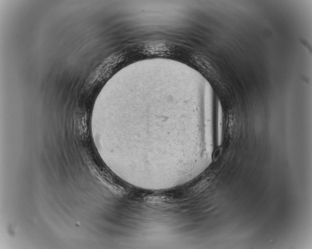 X0000102400408200808221852