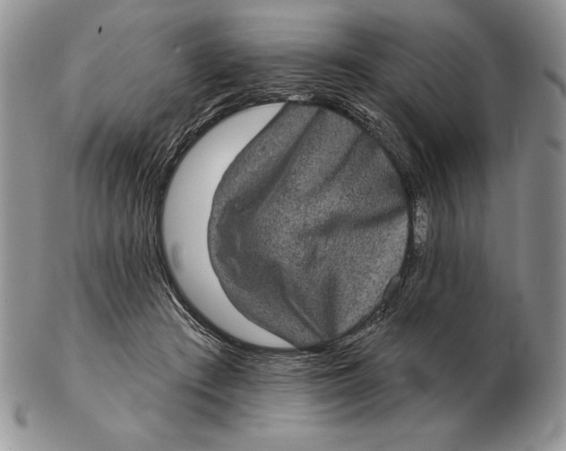X0000102400409200808221852