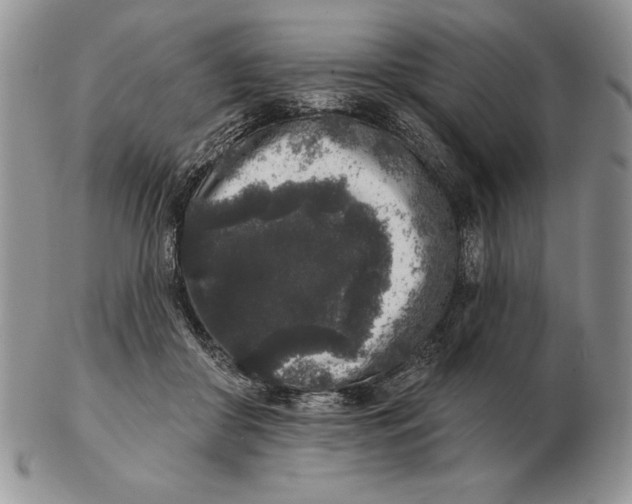 X0000102400410200808221852