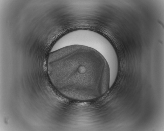 X0000102400411200808221852